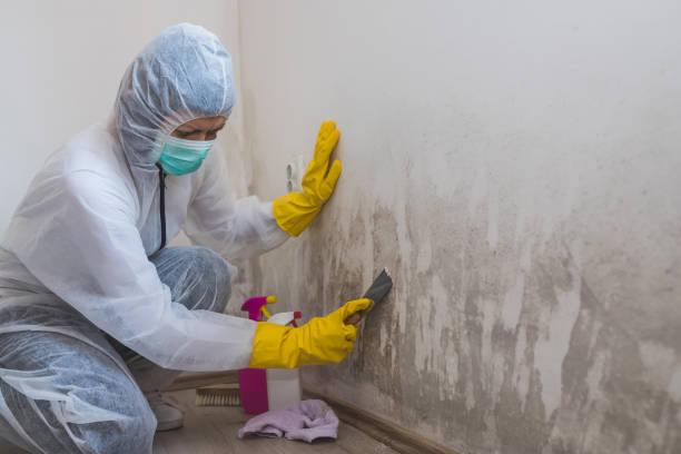 Best Crawl Space Mold Removal  in Giddings, TX