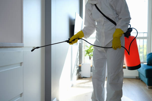 Best Mold Testing  in Giddings, TX