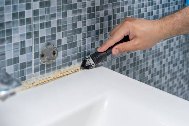 Best Attic Mold Removal  in Giddings, TX