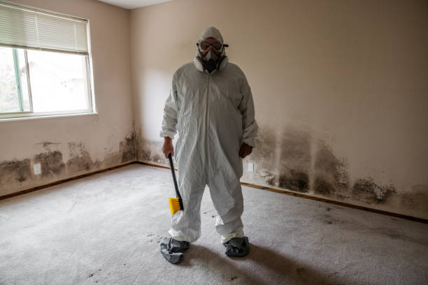 Best Emergency Mold Removal  in Giddings, TX